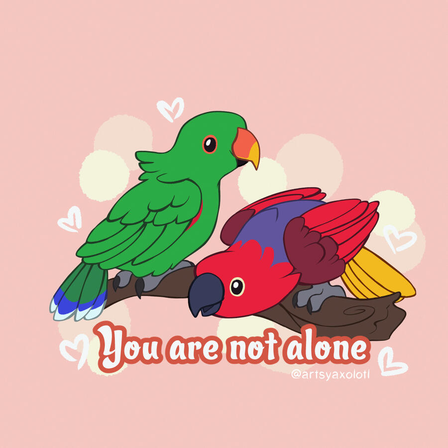 You are not alone