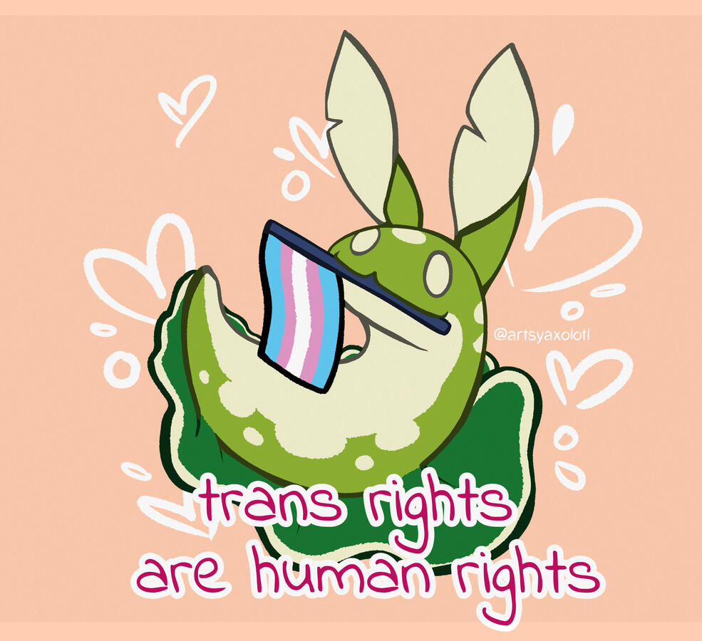 Trans Rights are Human Rights
