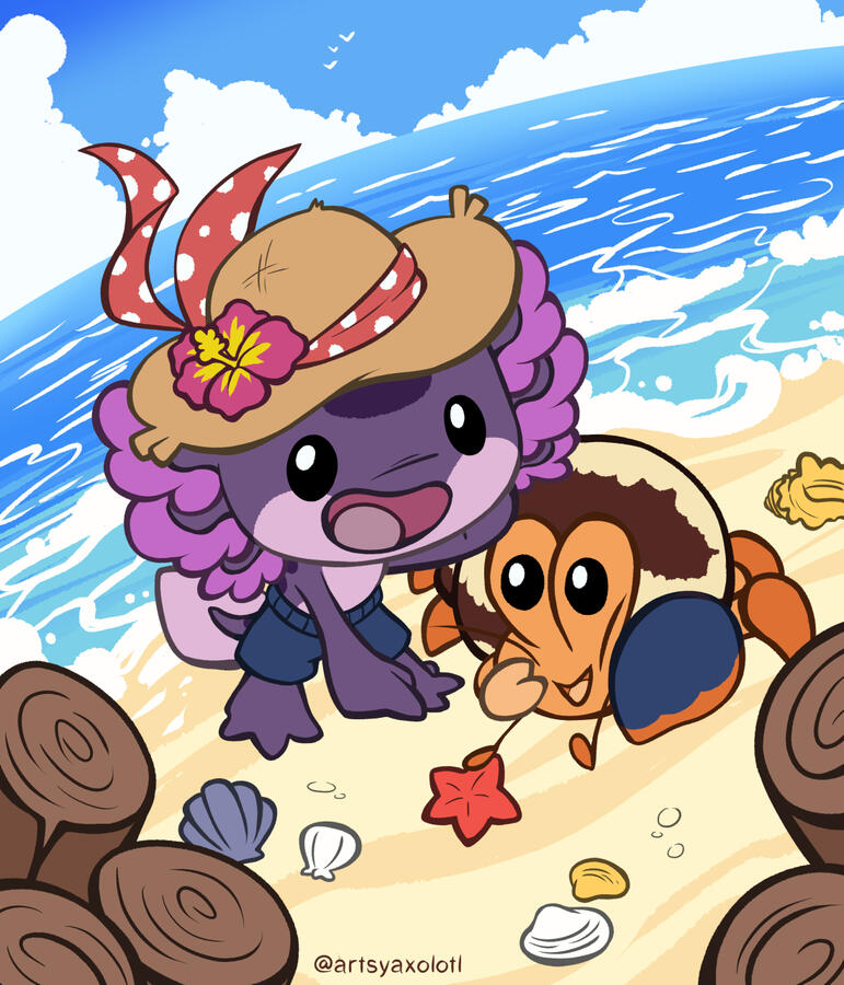 Ooo a shell? Ooo a shell?