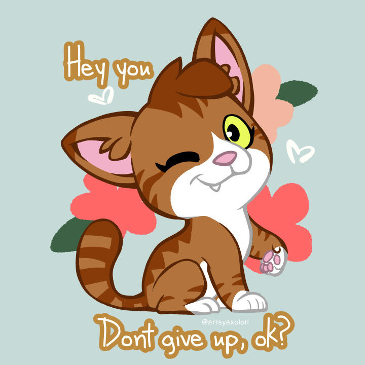 Shay Dont Give Up Shay Dont Give Up
