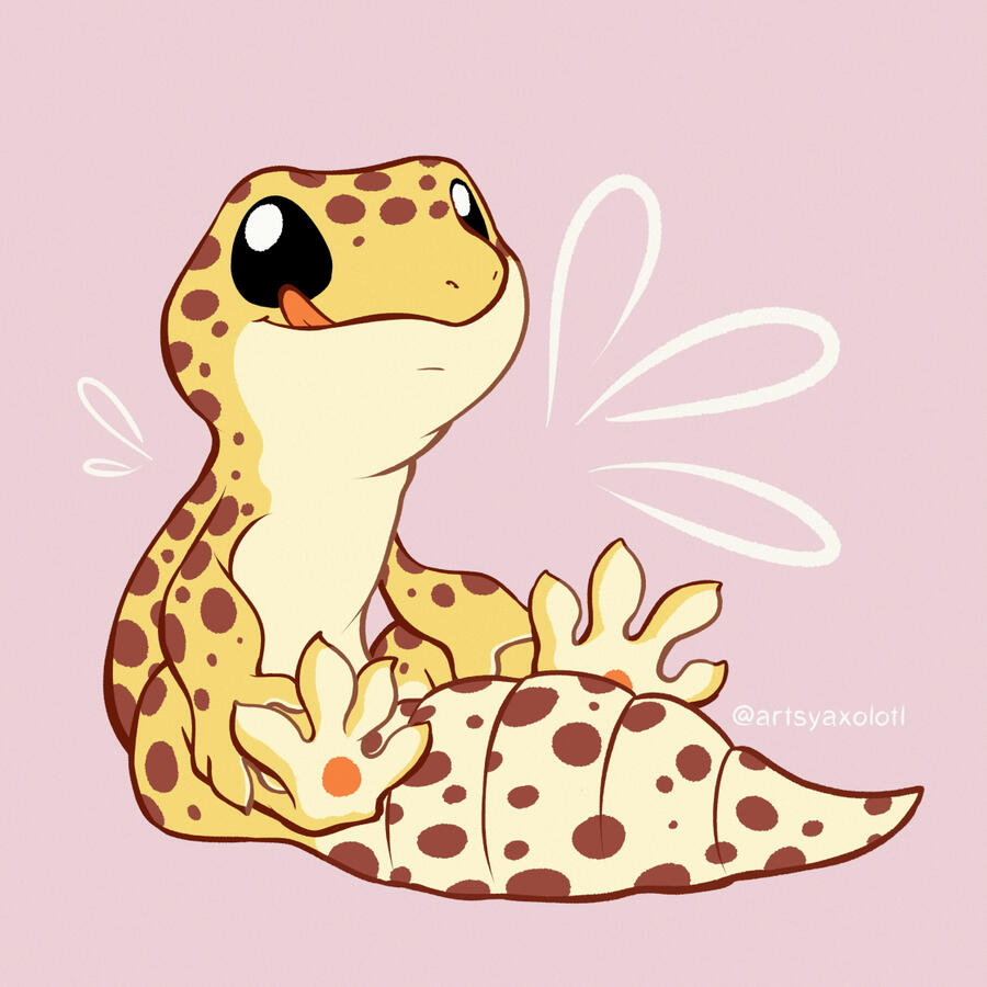 Gecko Feets
