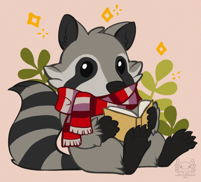 Comfy Raccoon