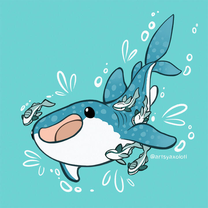 Whale Shark and friends!