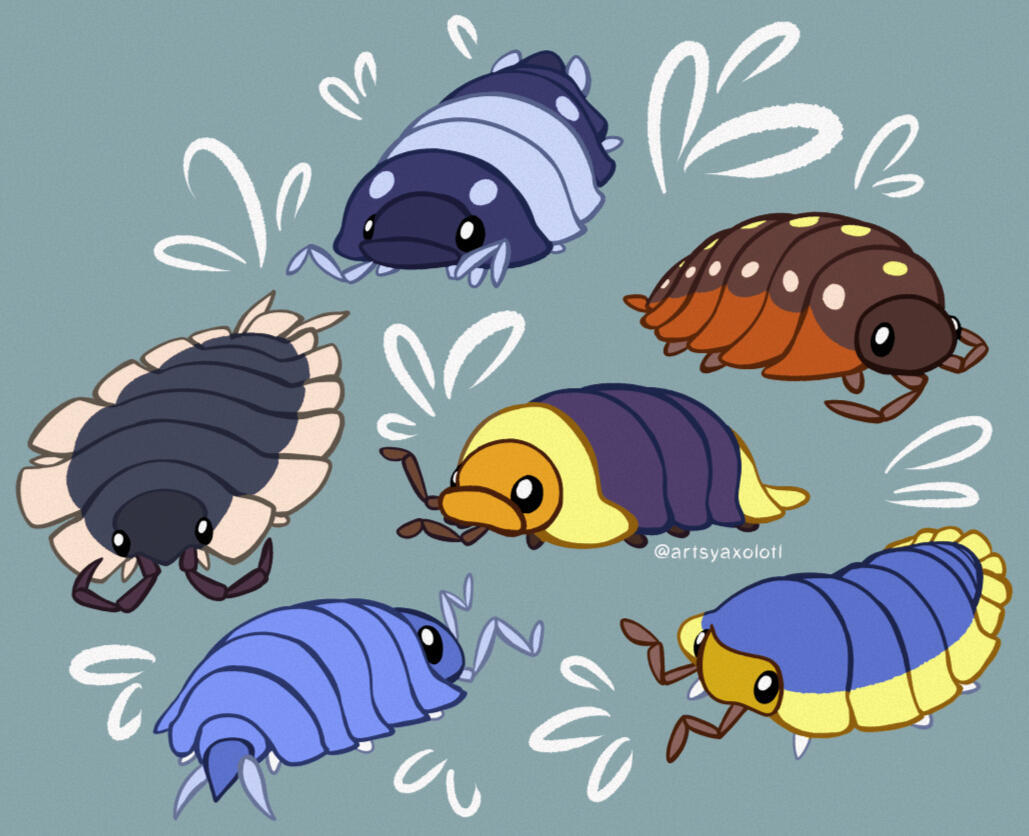 Isopods Isopods