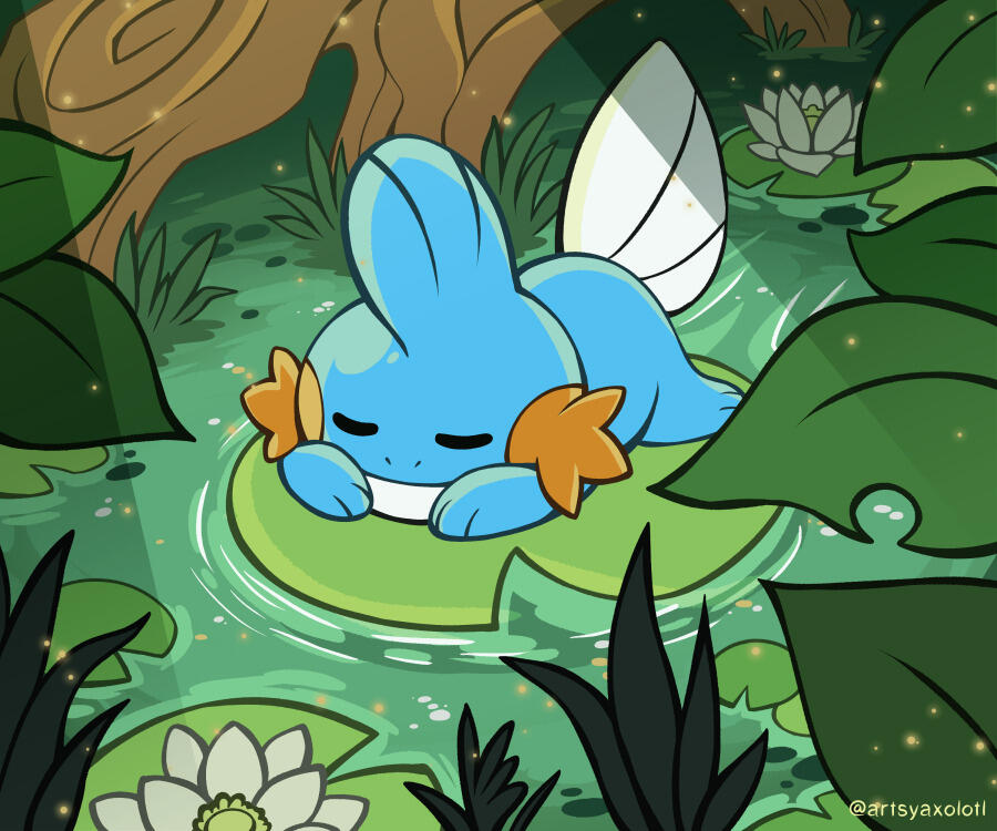 SleepyMudkip