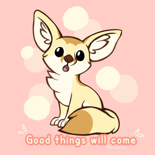 Fennec Good things Will Come