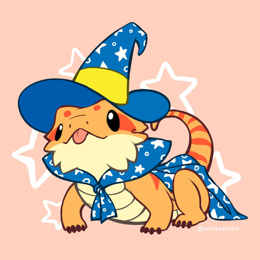 Lizard Wizard Lizard Wizard